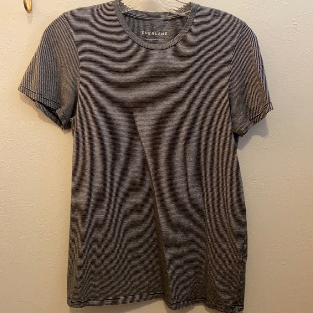 Micro stripe Everlane tee